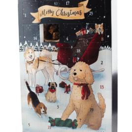 Adventskalender 2020